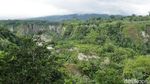 Foto: Tempat Terbaik Melihat Ngarai Sianok