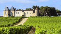 Kota elegan Prancis bukan cuma Paris, tapi juga Bordeaux. Dikenal akan ladang anggurnya, Bordeaux masuk kota paling elegan nomor delapan di dunia(Thinkstock)
