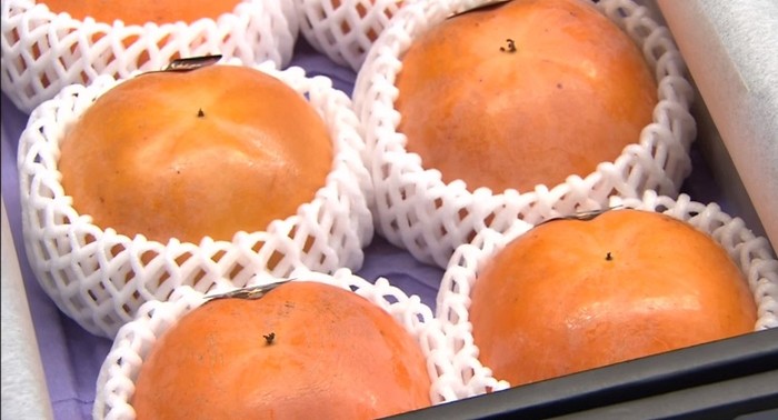 buah kesemek buah kesemek