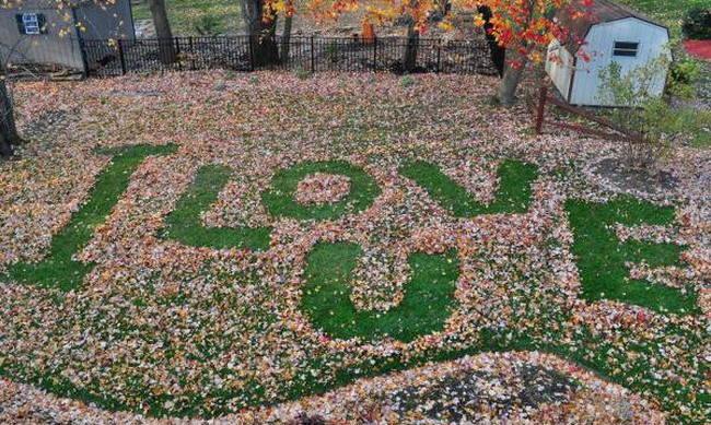 Istri mendapat pesan cinta dari suami tercinta selama 28 tahun di taman rumah. Foto: Dok. Bored Panda
