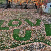 Istri mendapat pesan cinta dari suami tercinta selama 28 tahun di taman rumah. Foto: Dok. Bored Panda