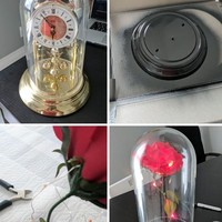 Suami menghadiahkan istrinya setangkai mawar bak di film Beauty and The Best. Foto: Dok. Bored Panda