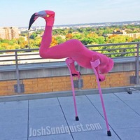 Jangan terkecoh melihat foto ini. Yang Anda lihat bukanlah burung flamingo, melainkan Josh Sundquist yang tampil dengan kostum burung berwarna pink itu saat Halloween 2013. Sungguh mirip. Foto: Dok. Josh Squndquist
