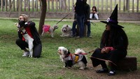 Parade halloween ternyata tidak melulu menyeramkan (Foto: REUTERS/Guadalupe Pardo)