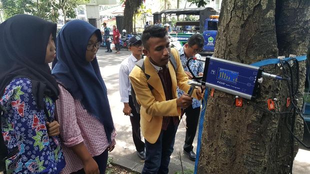 Alat ini bernama Picus Sonic Tomograph