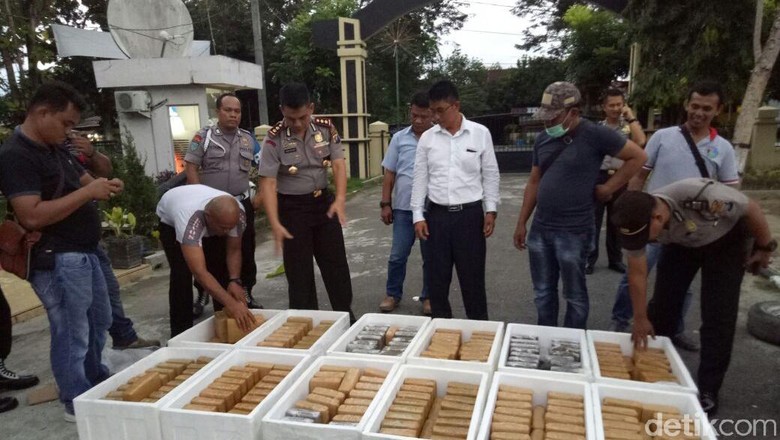Polisi Tangkap Kurir Narkoba, 240 Kg Ganja Disita Polisi Tangkap Kurir Narkoba, 240 Kg Ganja Disita