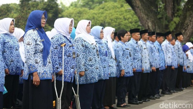 Serba-serbi Pembukaan CPNS 2018