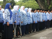Serba-serbi Pembukaan CPNS 2018