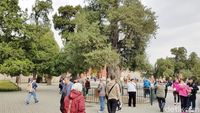Megahnya Temple of Heaven, Tempat Raja China Meminta Panen Raya