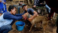 Pemilik anjing membayar dari Rp 200.000- Rp 2.000.000 untuk memasuki pertarungan. Harga ini tergantung ukuran anjing mereka. Namun di balik itu semua, rasanya tak ada yang bisa menyaingi rasa sakit dari anjing-anjing yang terluka ya.. (Beawiharta/Reuters)