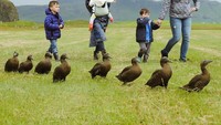 Five Take Flight juga pernah membuka lowongan untuk menjadi Nanny atau pengasuh anak. Tidak disangka, banyak orang yang mencoba melamar pekerjaan tersebut. Terpilihlah seorang wanita Islandia bernama Alexandra (Instagram/FiveTakeFlight)