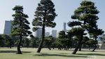 Menengok Istana Kaisar Jepang Imperial Palace