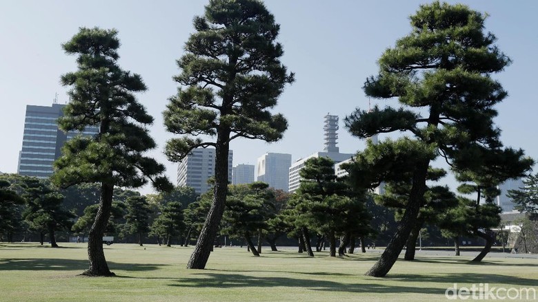 Menengok Istana Kaisar Jepang Imperial Palace Tokyo Imperial Palace merupakan kediaman kaisar Jepang yang sangat dihormati. Selain menjadi istana kekaisaran, tempat ini pun menjadi objek wisata menarik di Tokyo.
