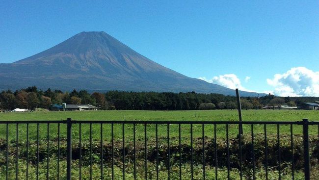 Dilanda Topan Gunung Fuji  Jadi Telanjang 