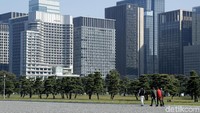 Tepat di depan Istana terdapat taman seluas 115 hektar serta ribuan pohon pinus yang ditata sedemikian rupa memenuhi areal taman dengan latar gedung-gedung pencakar langit kota Tokyo.