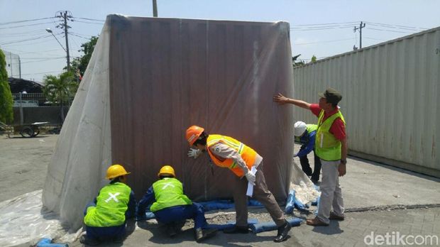 Kontainer berisi kedelai impor asal Amerika yang mengandung ngengat. 
