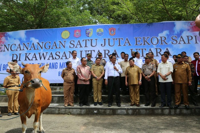 4 Kabupaten di Sulawesi Jadi Penyangga Sapi Nasional