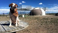 Masih di Negeri Paman Sam, terdapat UFO Watchtower alias Menara Pandang UFO. Lokasinya di kota kecil bernama Hooper, sekitar 7,5 jam perjalanan darat dari Denver, ibukota negara bagian Colorado. UFO Watchtower ini dibuat pada tahun 2009 silam oleh seorang penggila UFO dan teori konspirasi bernama Judy Messoline. Menurut Judy, Hooper jadi lokasi yang paling cocok untuk membangun menara pandang ini (Jeff Anton/Instagram)