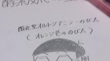 Digambar jadi Nobita. Foto: istimewa