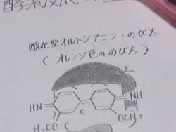 Coretan Kreatif Anak Sekolah di Buku Pelajaran