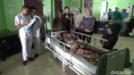 Ini Paku-paku yang Dimakan Wawan hingga Akhirnya Tewas