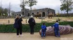 Foto: Taman Miniatur Indonesia, Tapi di Belgia