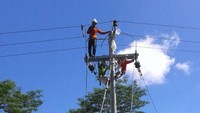 Pekerja PLN sedang memasang jaringan listrik ke desa Sebamban. Foto: dok. PLN