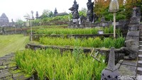 Sawah bertingkat ala sawah di Ubud juga hadir dengan cantik di Pairi Daiza. (Eny/detikTravel)