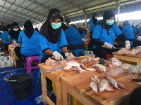 Ibu-ibu di Pati Tak Lagi Nganggur Berkat UKM 'Eksportir' Ikan