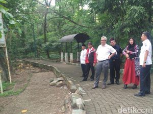 Pemkot Jakbar Usul ke Anies Perbaikan Hutan Kota untuk Wisata