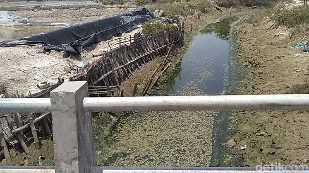Air sungai juga mengalami pencemaran yang sama. 