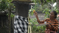 Sebagian warga setempat kembali ke tempat tinggalnya untuk mempersiapkan persembahyangan Hari Raya Galungan pada Rabu (1/11) meskipun telah diberitahukan agar tidak memasuki kawasan rawan bencana Gunung Agung yang saat ini berstatus Siaga.  (Foto: ANTARA FOTO/Fikri Yusuf)