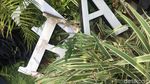 Foto:  Melihat Lebih Dekat Plang Hotel Alexis Dipreteli Petugas