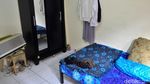 Senyum Semringah Tukang Urut Rumahnya Direnovasi Polres Jaksel