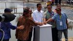 Berkemeja Putih Dipadu Jeans, Jokowi Tebar Benih Udang di Bekasi