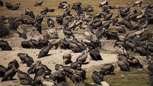 ritual pemakaman langit