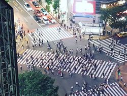 Temuan Unik yang Tak Terpikirkan Ini Cuma Ada di Jepang