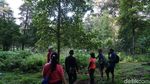 Foto: Ini Kebun Pala Tertua di Indonesia