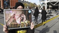 Perempuan ini memegang gambar babi mati (Foto: AFP PHOTO / JACQUES DEMARTHON)