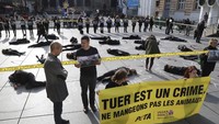 Beberapa orang membentangkan spanduk bertuliskan pembunuhan adalah tindak kriminal, mari tidak makan hewan (Foto: AFP PHOTO / JACQUES DEMARTHON)