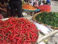 Berburu Bahan Makanan Segar di Pasar Induk Solo yang Tak 
