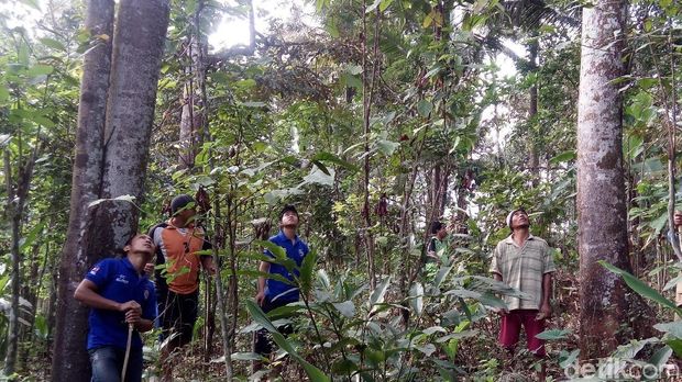 Warga berburu tupai di kebun