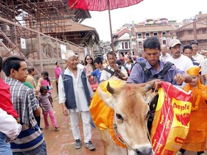Di Nepal, Kematian Dimaknai Lewat Sapi