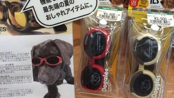 Anjing di sana pun punya kacamata gaya. (Foto: Brightside)