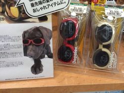 Temuan Unik yang Tak Terpikirkan Ini Cuma Ada di Jepang