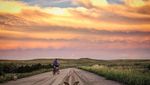 Foto: Kenalan Sama Kambing yang Suka Traveling