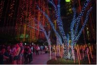 Festival of Light 2016 di Ayala Triangle, Makati (Foto: Shutterstock)