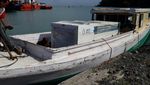 Warga Pulau Terpencil di Kalsel Sambut Datangnya Listrik