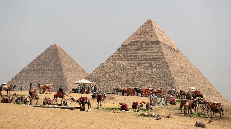 FILE PHOTO: A group of camels and horses stand idle in front of the Great Pyramids awaiting tourists in Giza, Egypt on March 29, 2017. REUTERS/Mohamed Abd El Ghany/File Photo