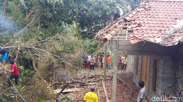 Pohon beringin ini kemudian tumbang dan menimpa rumah warga. 